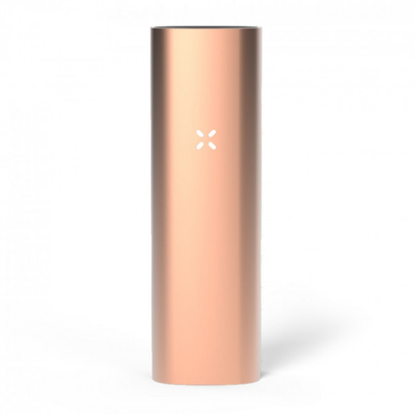 Pax 3 Basis-Set